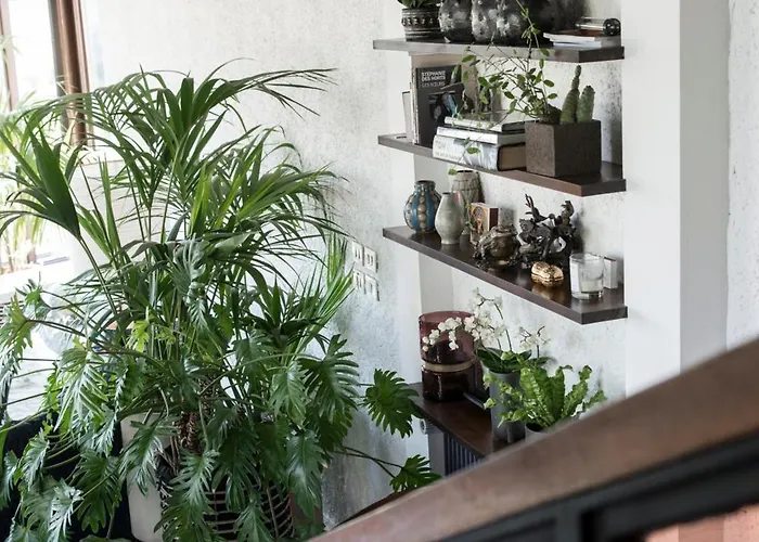 Chambre Avec Vue